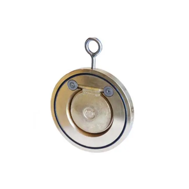 CE Certification Stainless Steel Single Disc Wafer Check Valve with Enhanced Corrosion Supplier, Manufacturers