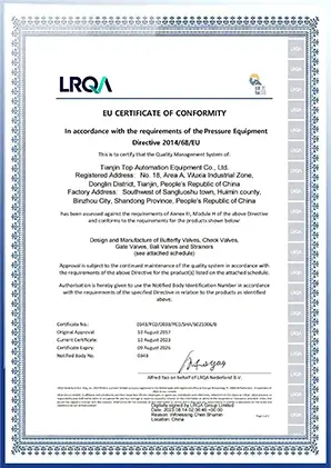 Tianjin Top Valve management system certificate 2