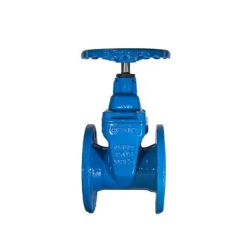 Anti-abrasion elastic seat gate valve with reinforced seat