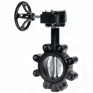 CE Certification Gear Operated Butterfly Valve