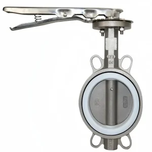 PTFE Lined SS Butterfly Valve