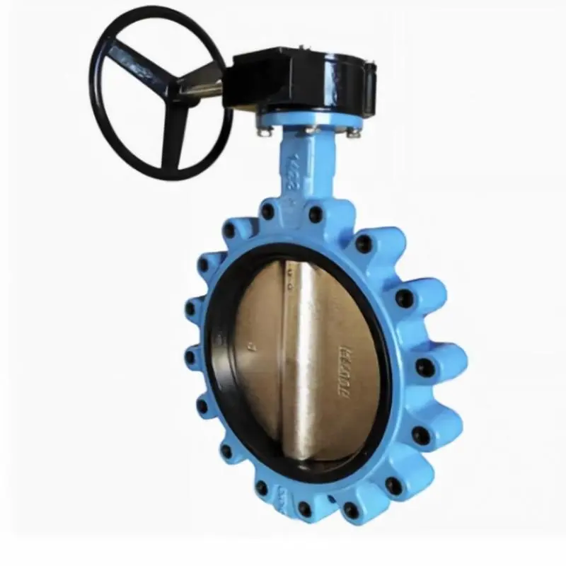 Pinless lug type butterfly valve with worm gear