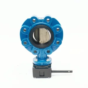 Marine Centric Lug Butterfly Valve