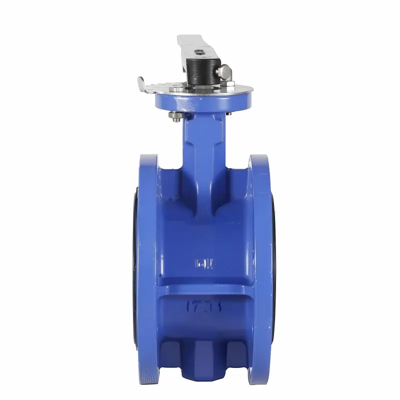 CE Certification Flanged Butterfly Valve with Lever Actuator - Durable & Reliable Manufacturers, Factory