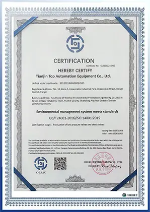 Tianjin Top Valve management system certificate 3