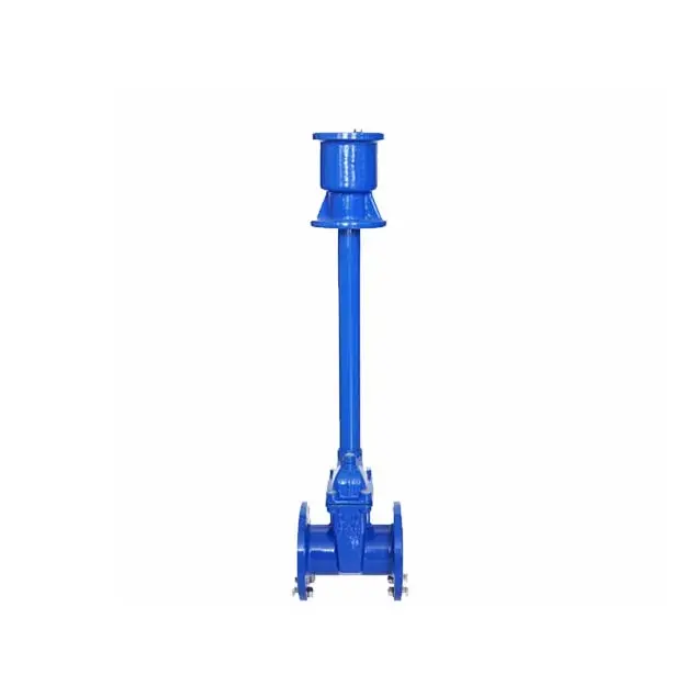 High-Quality Buried Elastic Seat Gate Valve for Reliable Flow Control Supplier, Factories