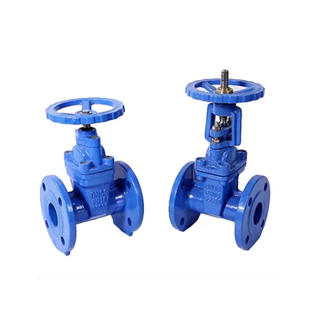 Wholesale Anti - Abrasion Elastic Seat Gate Valve with Reinforced Seat Suppliers, Supplier