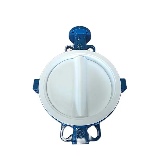 High-Quality PTFE Lined Pinless Butterfly Valve Supplier, Factories