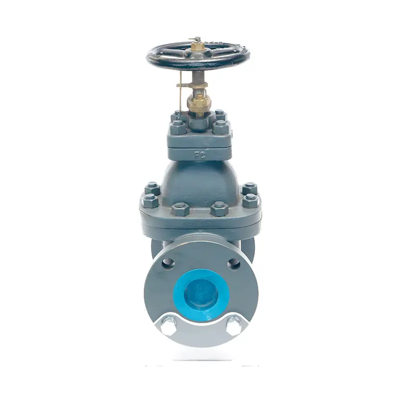 Wholesale Anti - Abrasion Elastic Seat Gate Valve with Reinforced Seat Suppliers, Supplier
