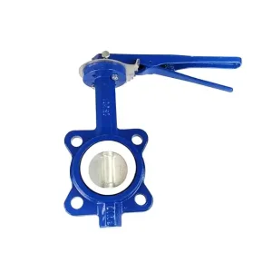 High Quality PTFE Lined Pinless Butterfly Valve