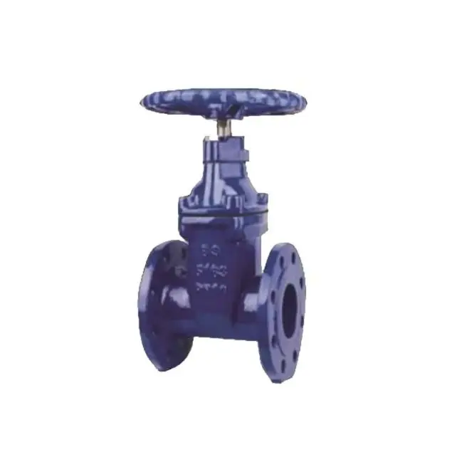 High-Quality Non-Rising Stem Elastic Seat Sealing Gate Valve Manufacturer, Factory