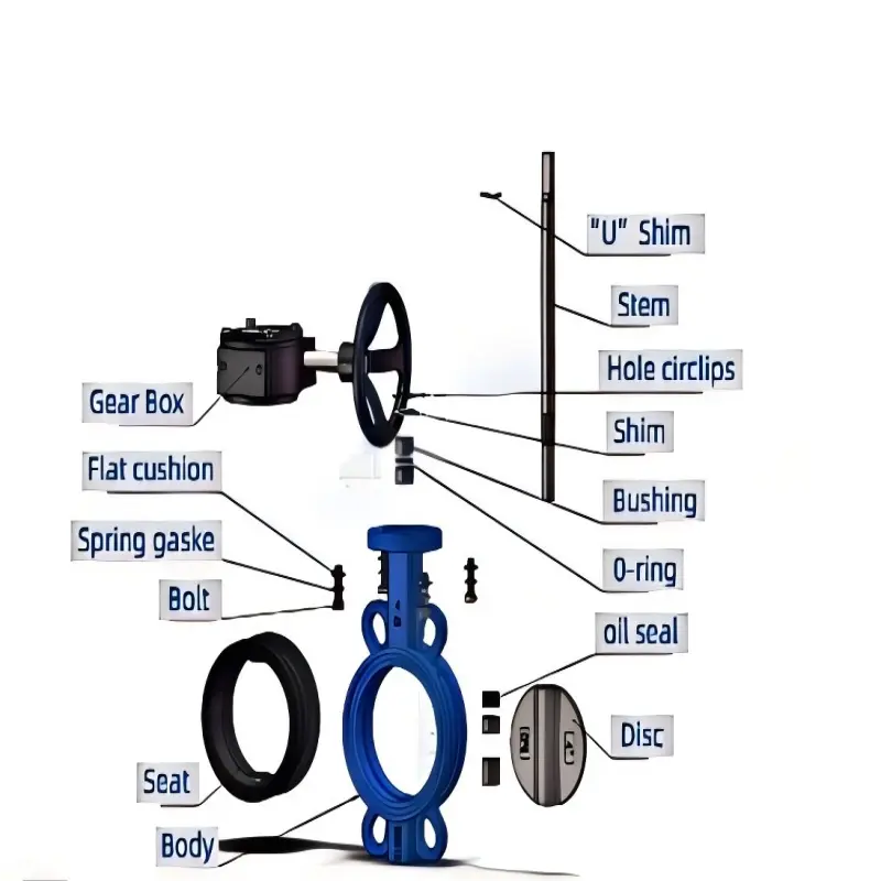 Valve Engineering Structure