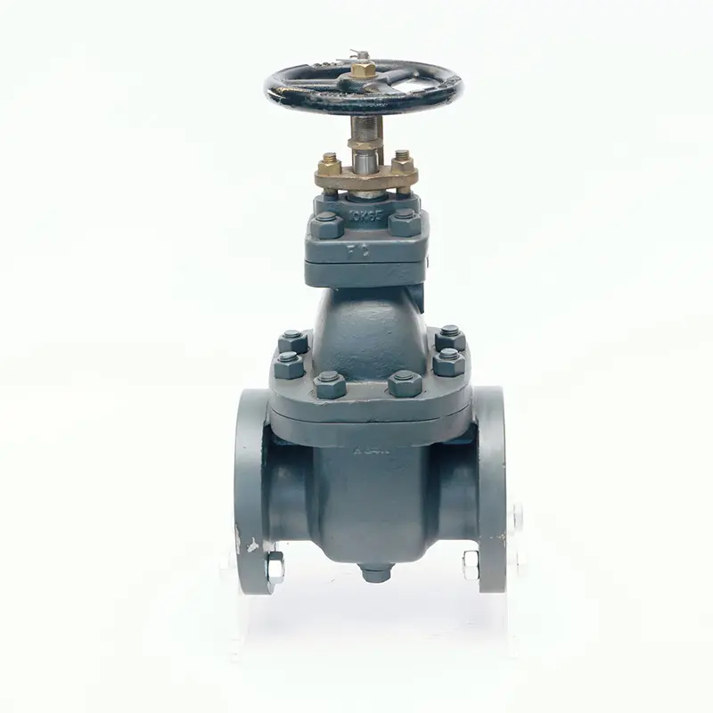 Wholesale Anti - Abrasion Elastic Seat Gate Valve with Reinforced Seat Suppliers, Supplier