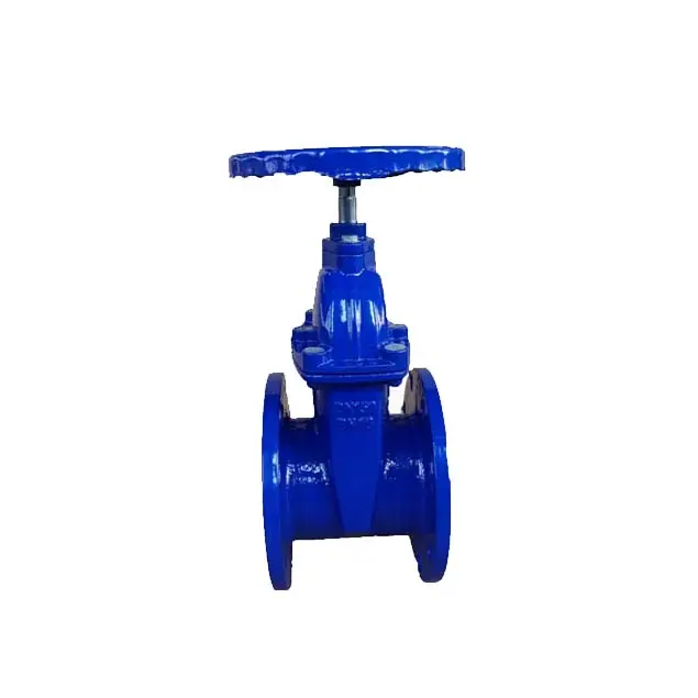 CE Certification German Standard Elastic Seat Gate Valve Manufacturers, Manufacturer
