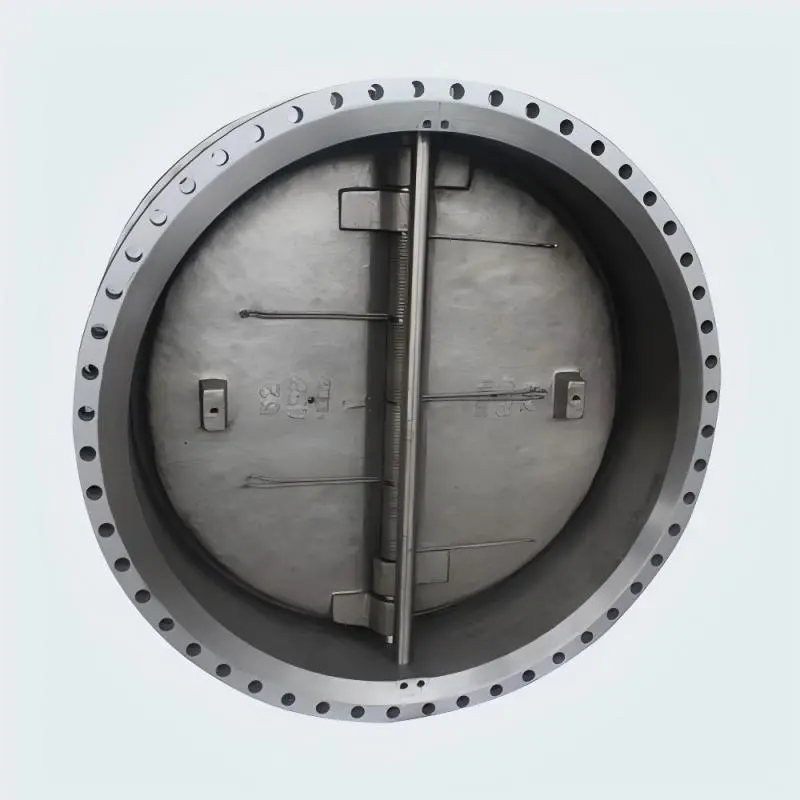 CE Certification Dual Plate Check Valve, Reliable Backflow Prevention Device Suppliers, Manufacturer
