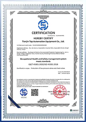 Tianjin Top Valve management system certificate 4