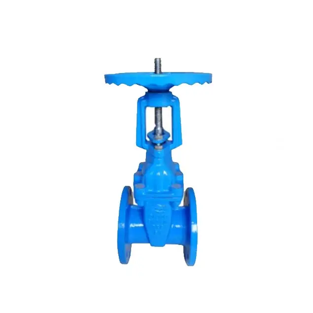 Wholesale Rising Stem Resilient Seat Gate Valve Supplier, Factory