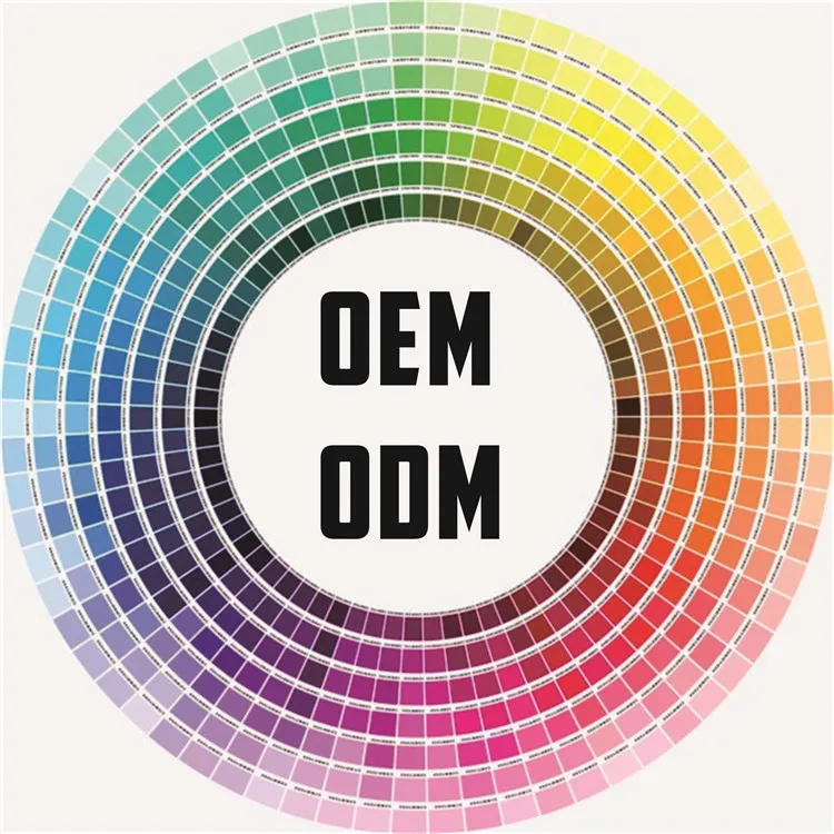 Pantone Color Keychain