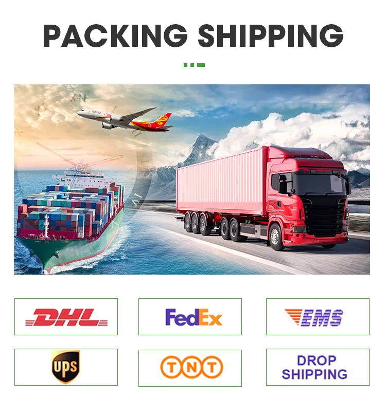 Shipping Logistics