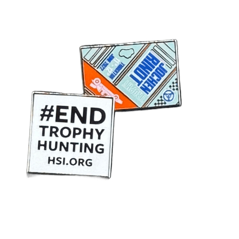 Custom Metal Corporate Brooches Badges Name Tags Custom Medals School Logos Badges