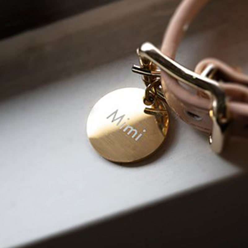 Personalized Dog ID Tags Custom Logo Accessories Pet Blank Bone Dog Tag