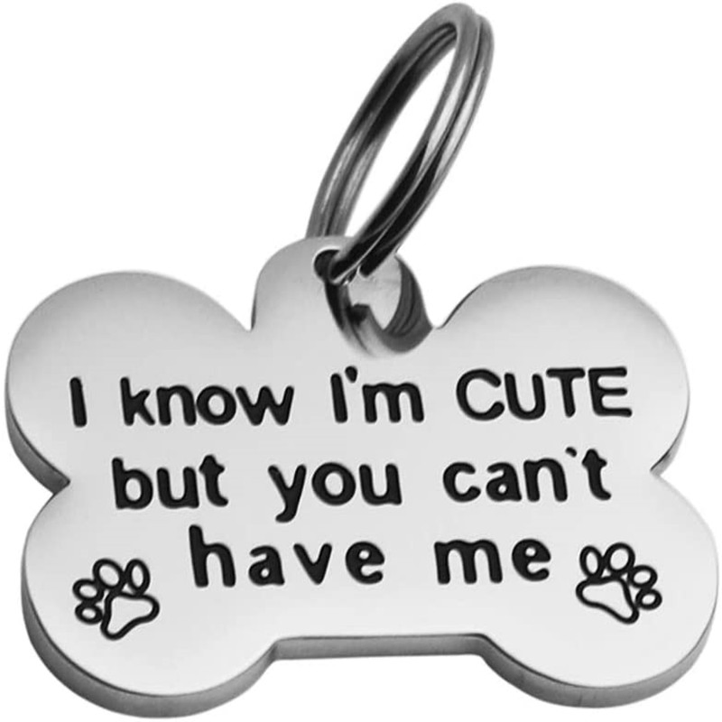 Funny Pet Dog Tag Keychain for Cats Dogs ID Tag Owner Personalized