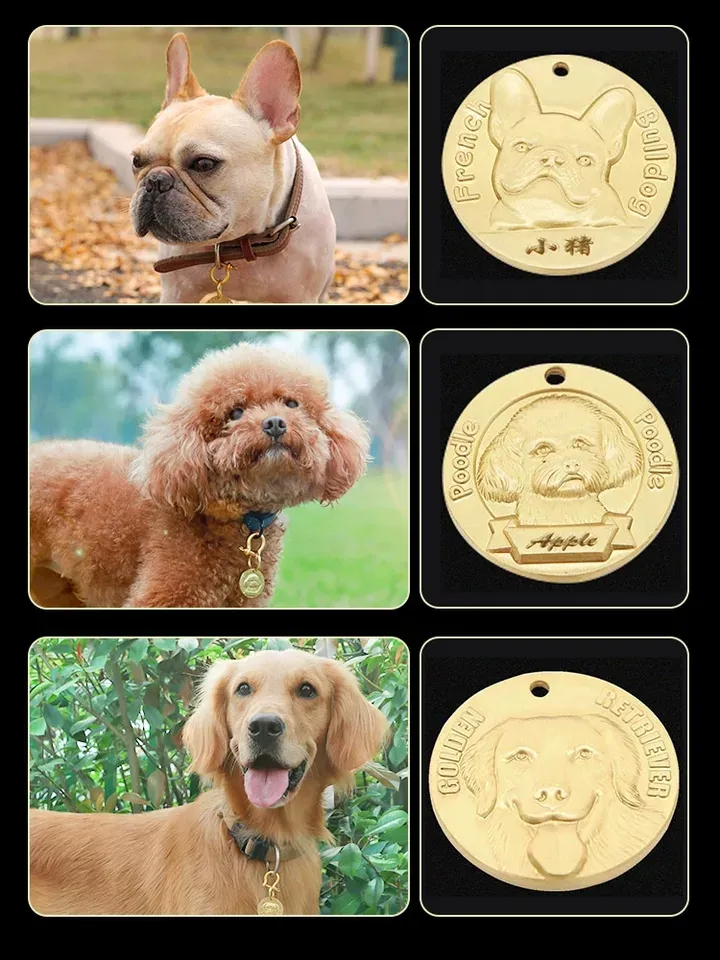 Pet ID Tag Display