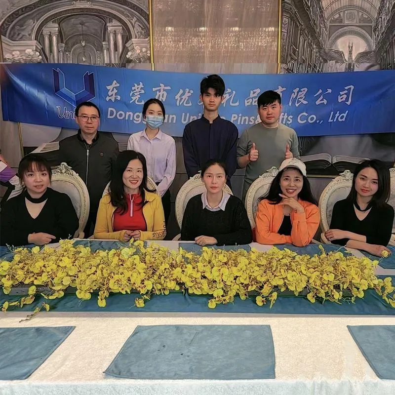 Double National Flag Lapel Pin