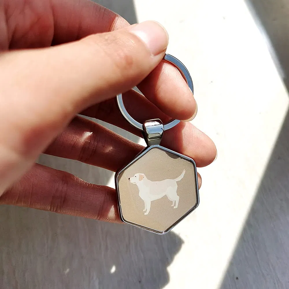 Factory Price Wholeslae Custom Pet Tags High Quality Stainless Steel Qr Code Metal Crafts Different Shape Printing Customized Pet Dog Tag for Sale