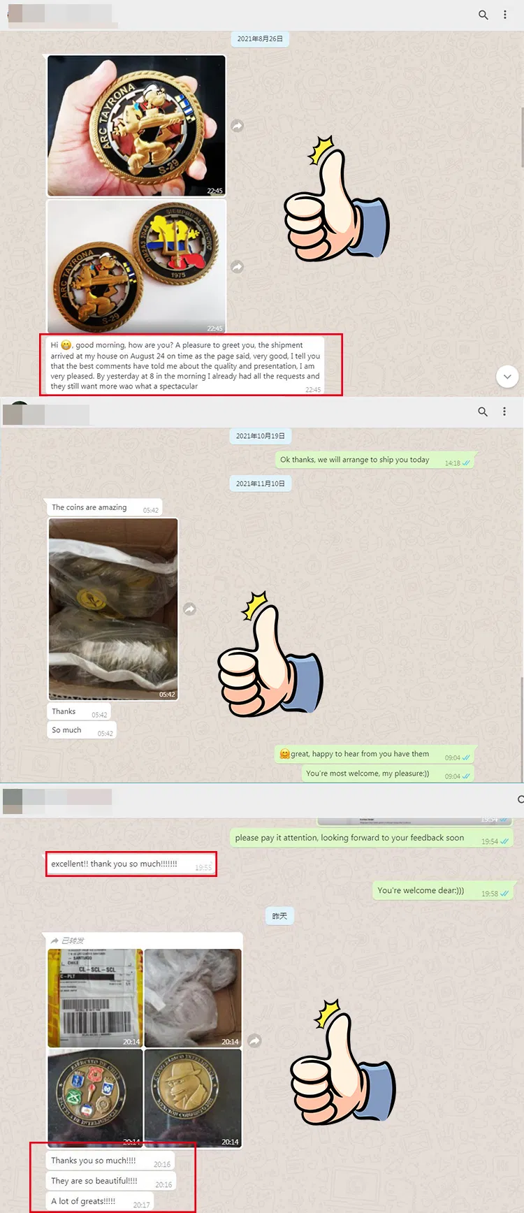 Challenge Coin Large View