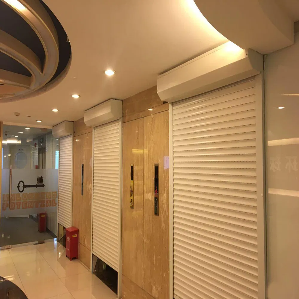 Roller Door Detail 1