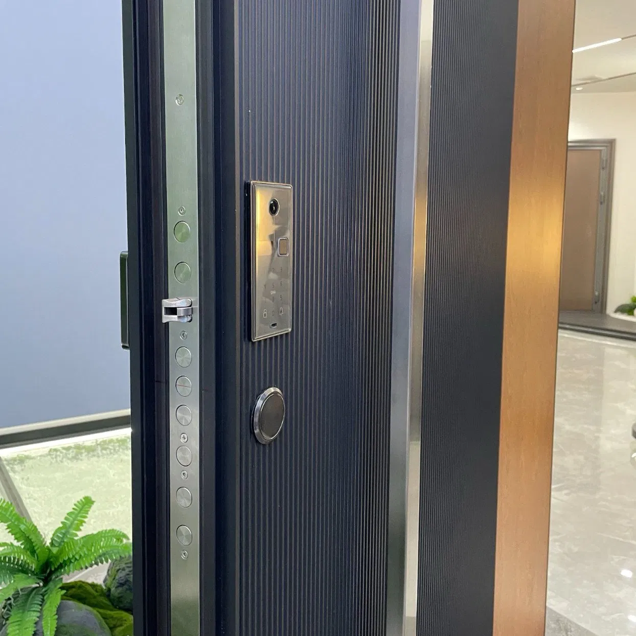 Luxury Custom Aluminum Pivot Door Metal Door for Villa