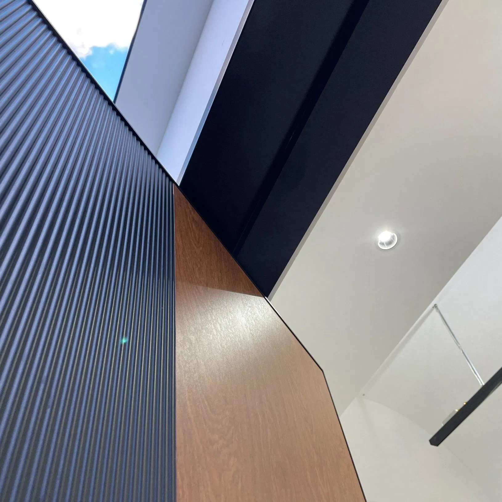 Luxury Custom Aluminum Pivot Door 3