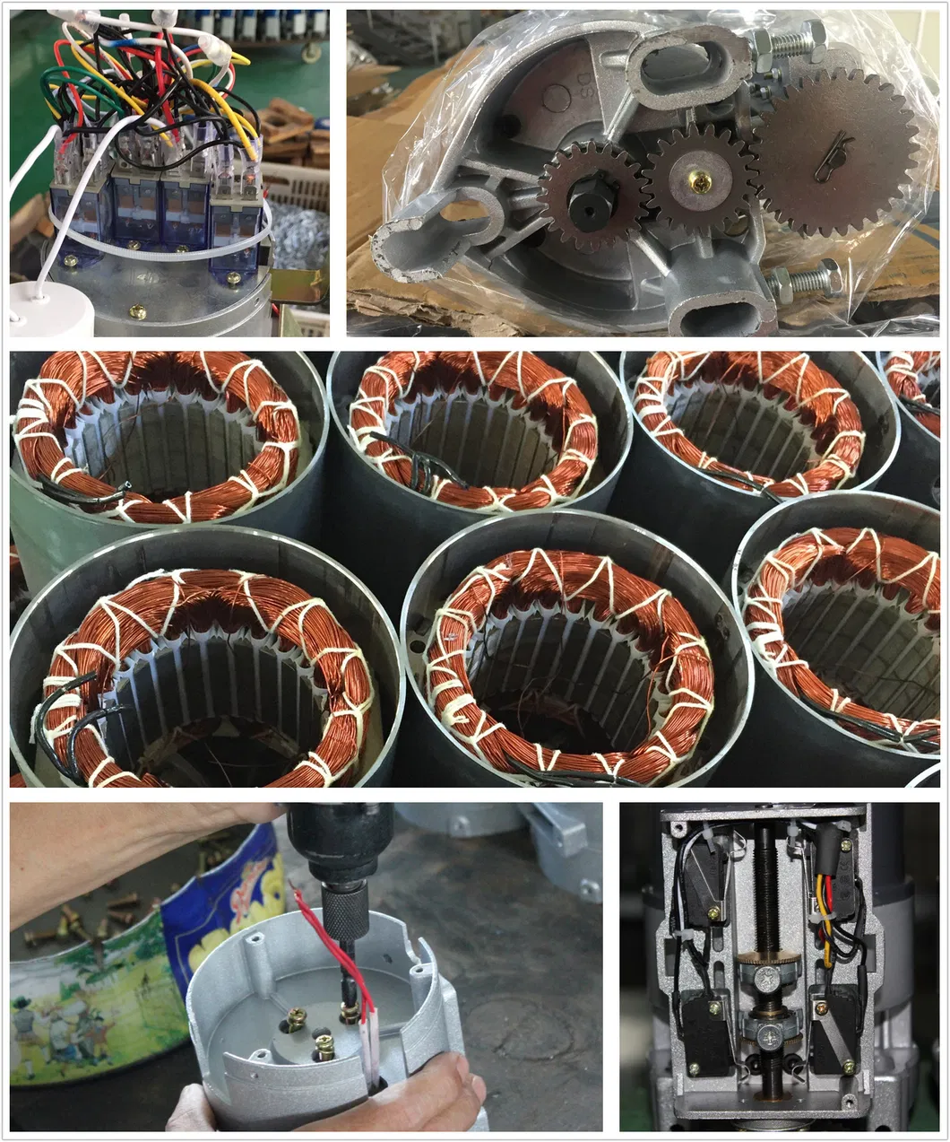Motor Details