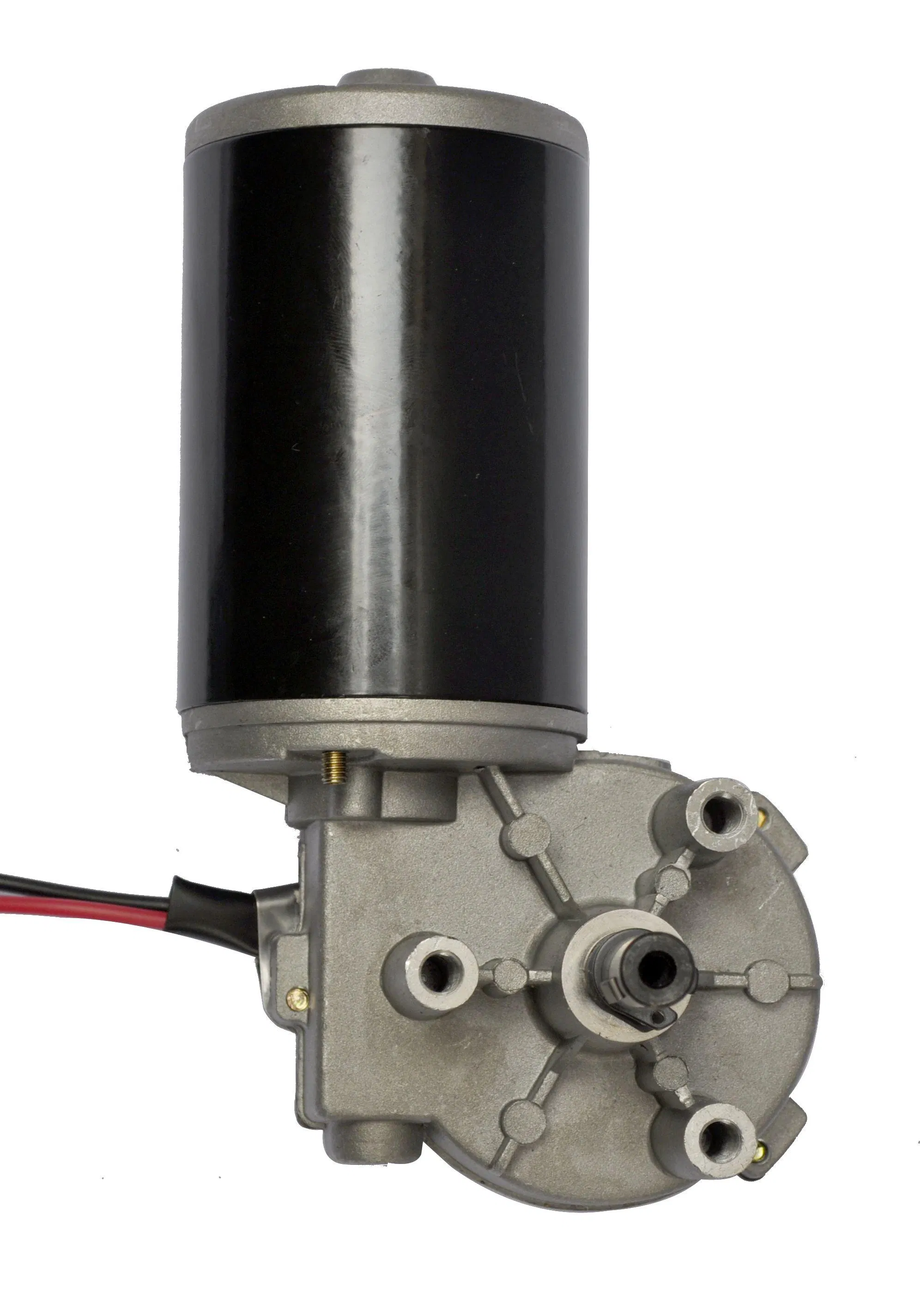 12V DC Permanent Magnet Motor with Worm Reducer for Garage Door