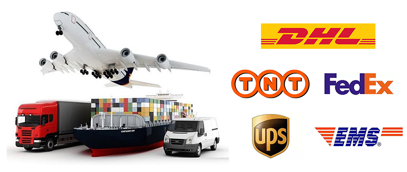 Logistics and Transport Options