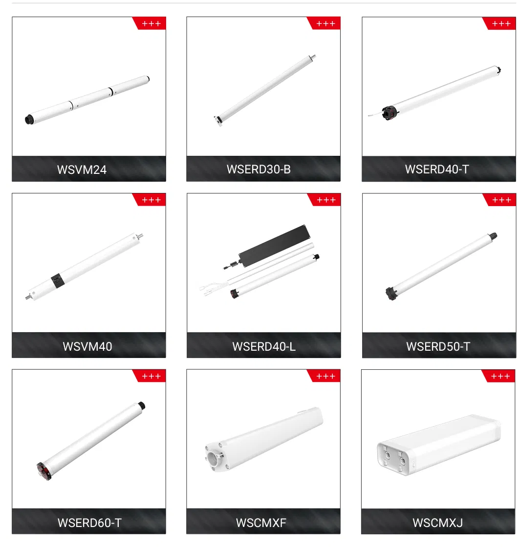 Main Product Lineup