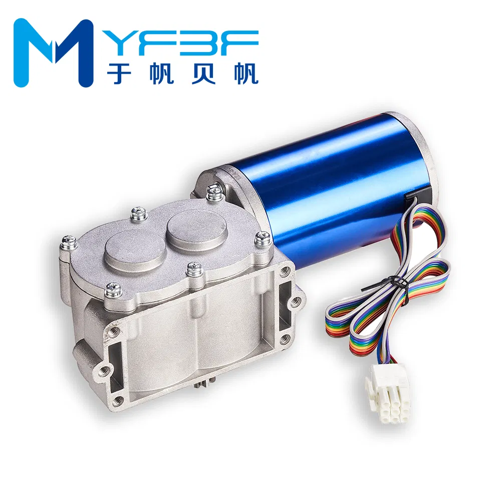 High Performance Low Noise 24V DC Brushless Automatic Swing Door Opener Motor