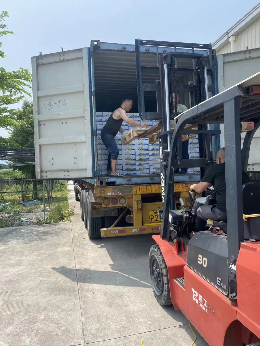 Electric Door Roller & Electric Roller Shutter & Door Motor