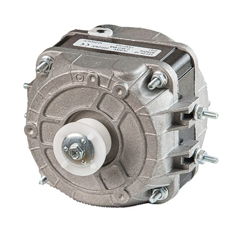 Motor Details 1