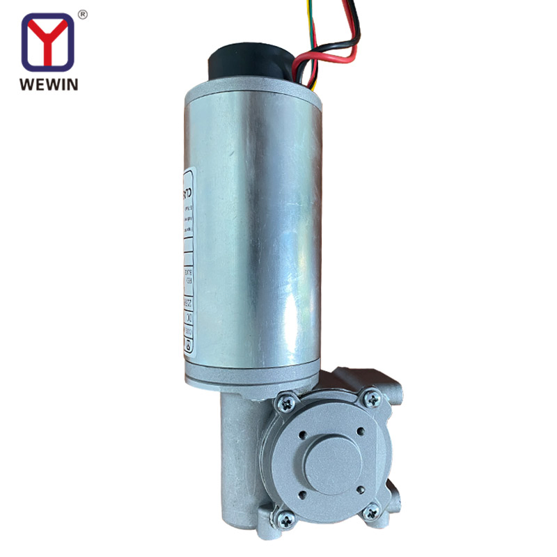 Wewin 63mm DC24V 100W Brush Automatic Sliding Door Motor in Door Opener