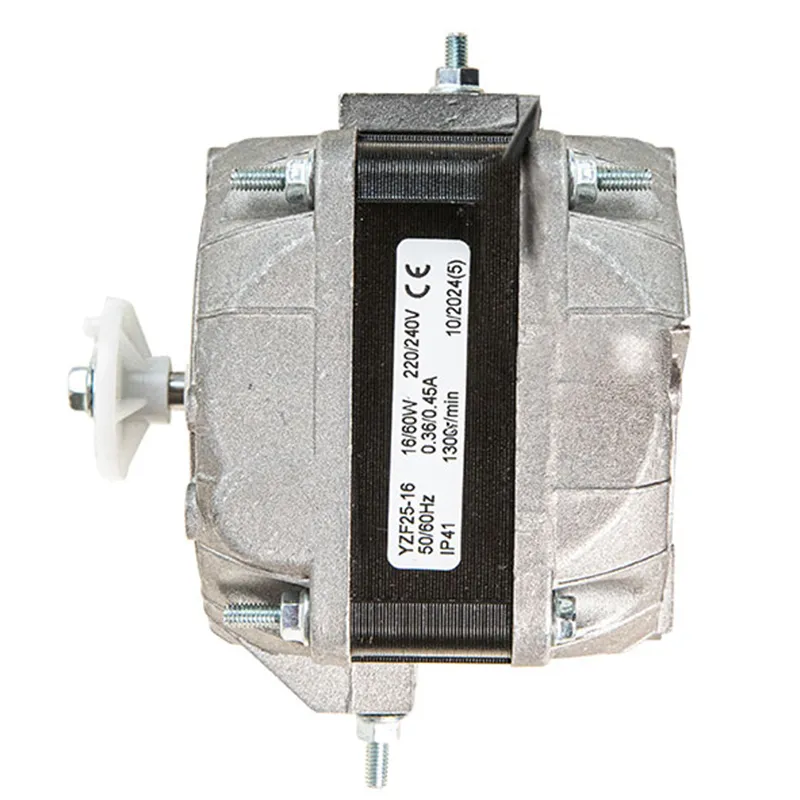 Motor Details 4