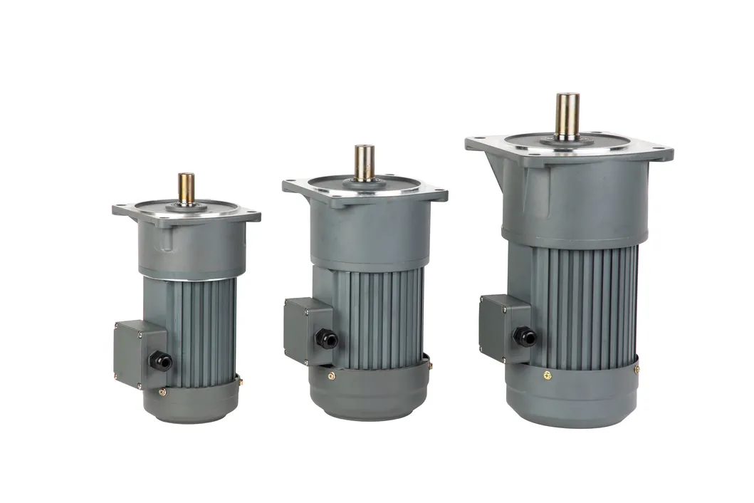 High Efficiency Small AC Gear Motor for Rolling Shutter Door