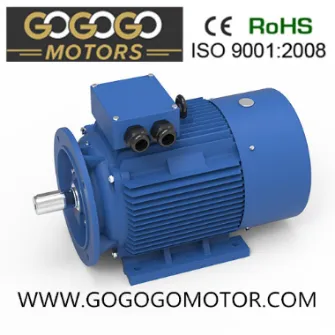 Electric Motor Display 1