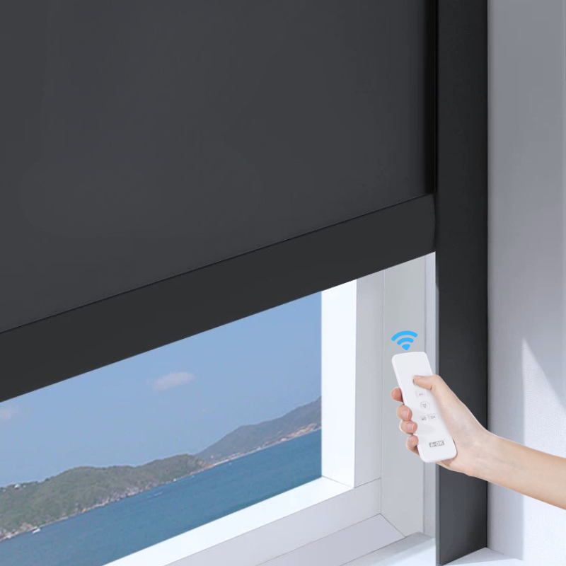 Electric Remote Control Google Alexa Blockout Roller Blind With Side Tracks Motorized Roller Blinds 100% Polyester Modern