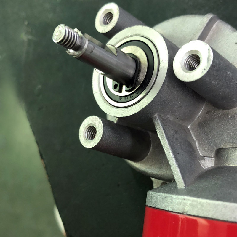China Factory Custom 24V 80W 200kg Cm High Torque DC Motor Australian Type Side Motor for Roller Shutter Door