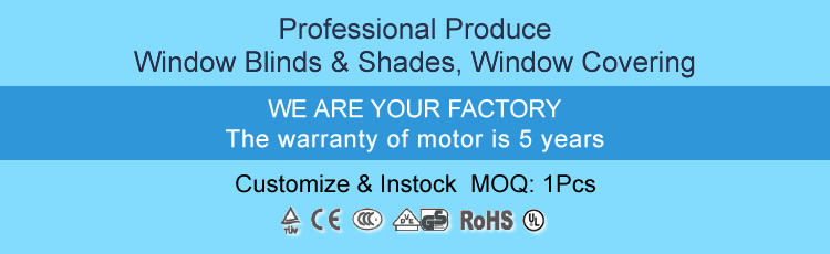 High Quality Electric Opener Spindle Tubular Blinds Motors Window Curtain Rolling Shutter Motor