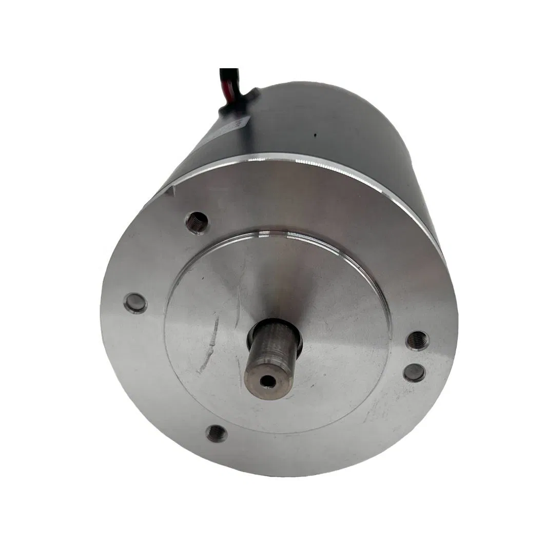 80zyt105 24V DC Permanent Magnetic Motor 2200rpm 100W for Garage Door