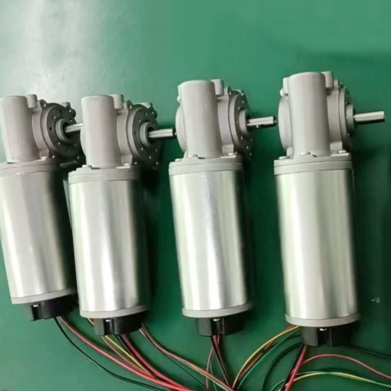Wewin 63mm DC24V 100W Brush Automatic Sliding Door Motor in Door Opener