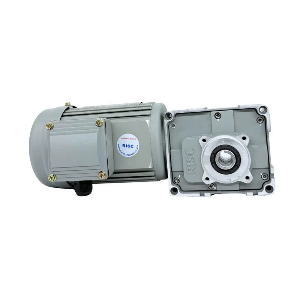Flexible Transmission RF63 100W-4kw Gear Reductions Motor for Industrial Doors